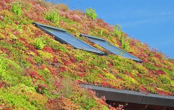Droxford living roof systems